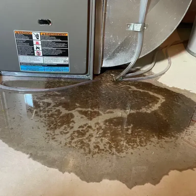 Appliance Leak Cleanup in Parkville, MO